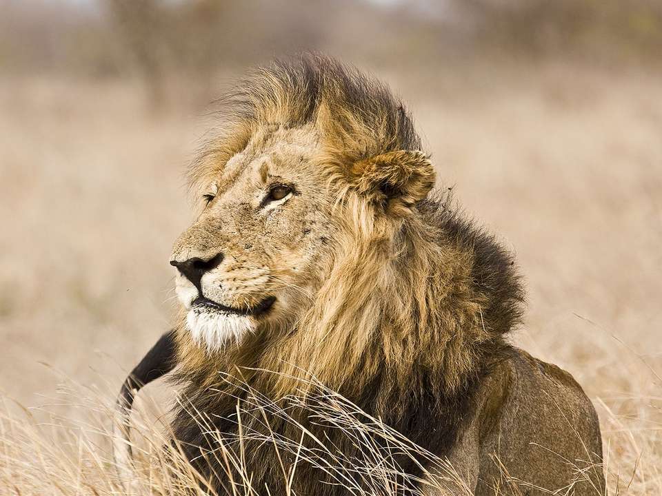 South Africa Adventure - 12 days - On The Go Tours - South Africa - Image 4