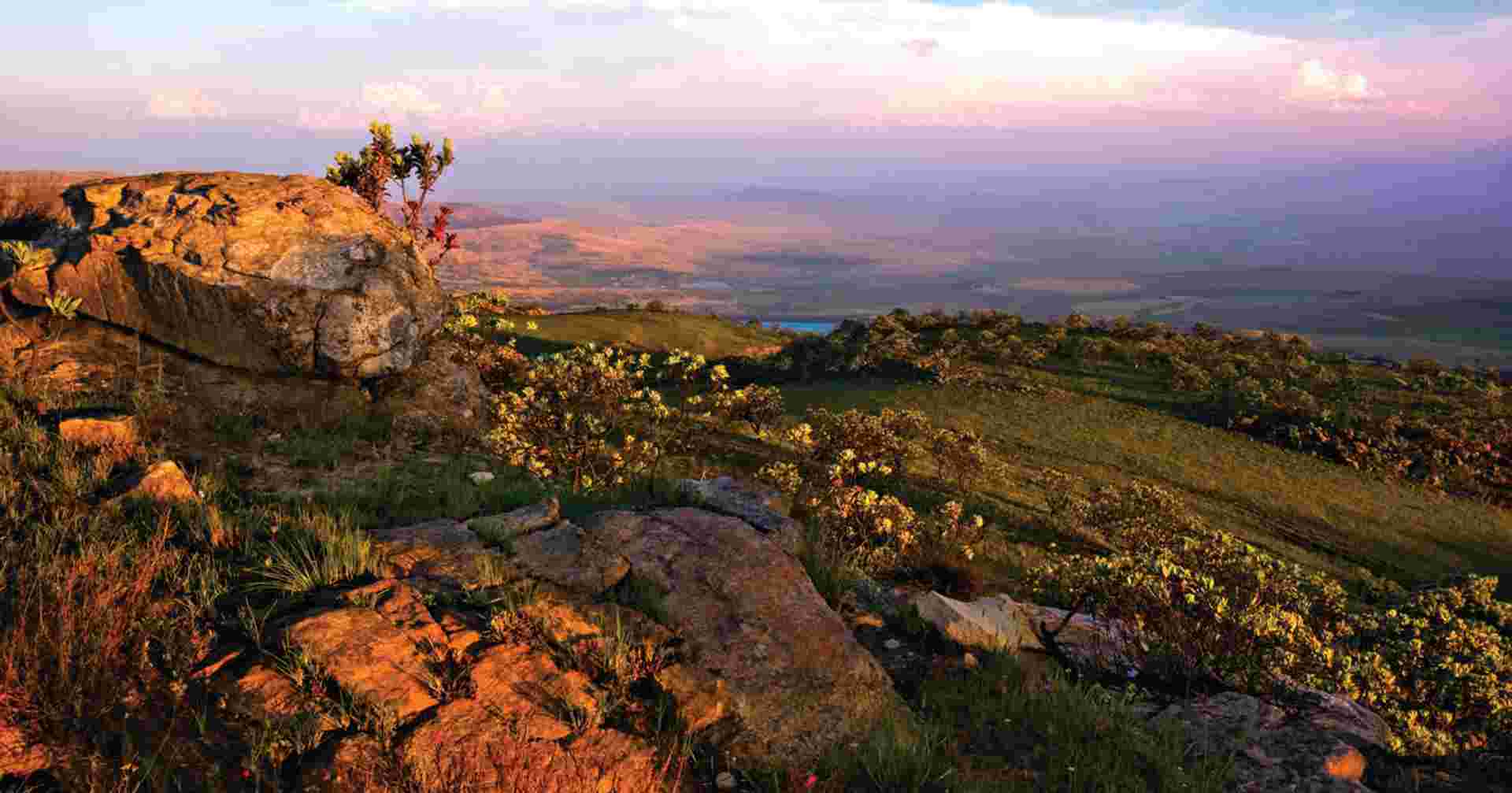 South Africa & Eswatini
