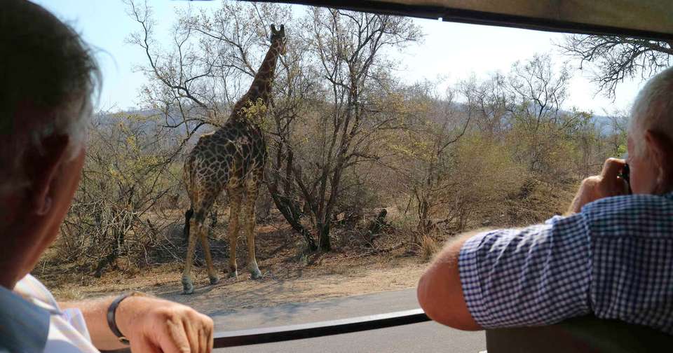 South Africa & Eswatini - Explore - South Africa - Image 6