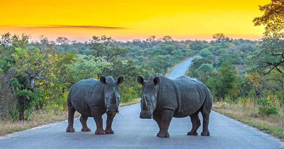 South Africa & Eswatini - Explore - South Africa - Image 14