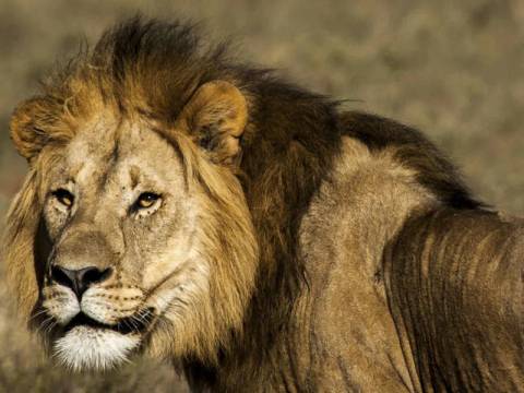 Active And Outdoor Tour: South Africa & Eswatini