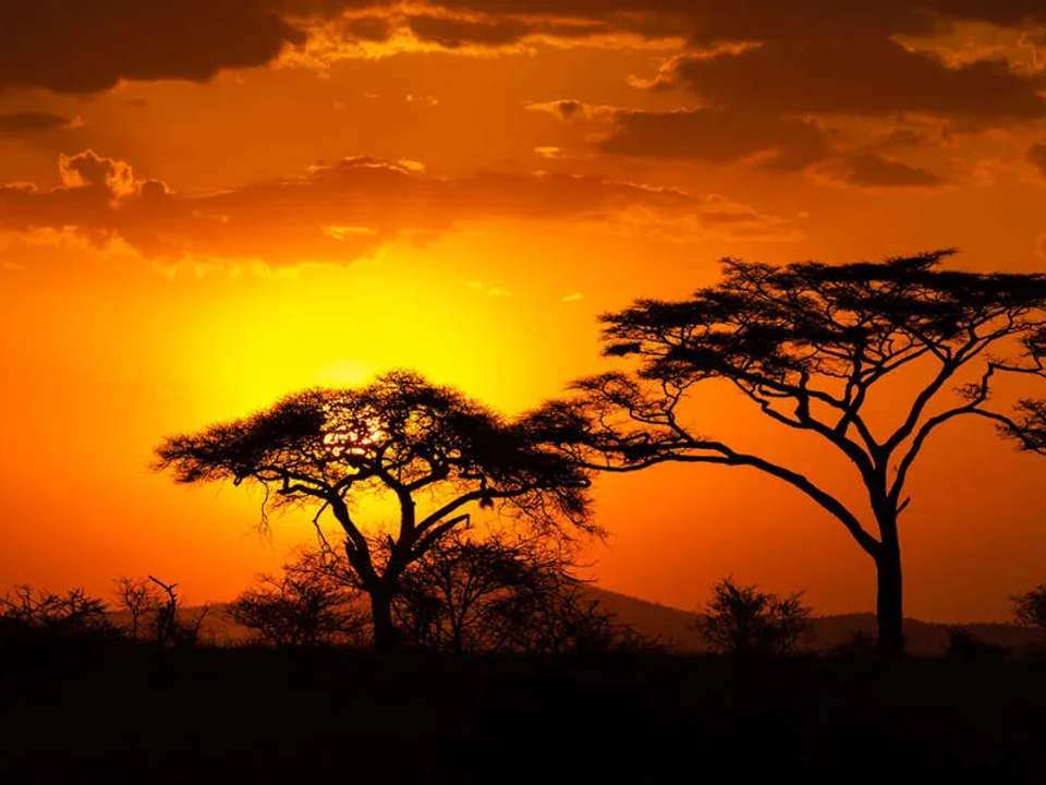 South Africa & Eswatini - undefined - Image 9