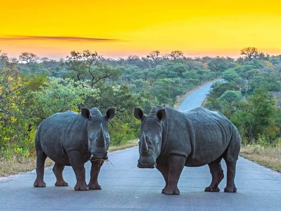 South Africa & Eswatini - undefined - Image 6
