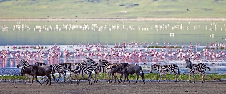South Africa & Victoria Falls trip - alternative tour available