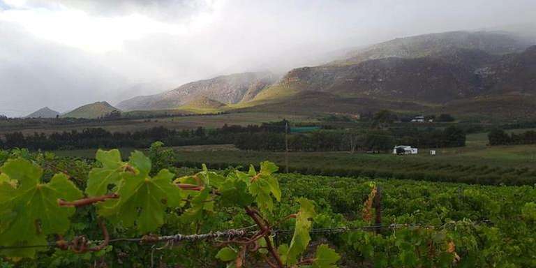 South Africa: Cape Town & The Garden Route trip - alternative tour available