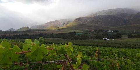 South Africa: Cape Town & The Garden Route - 11 Days