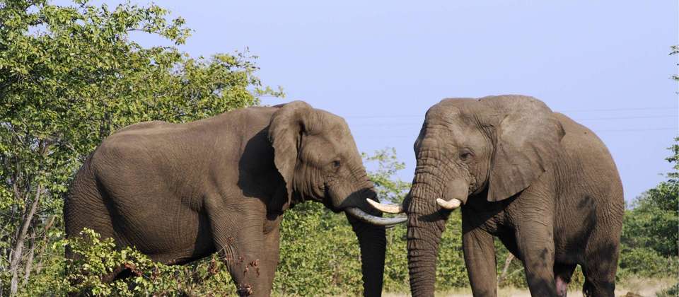 South Africa Cycling Adventure - World Expeditions - South Africa