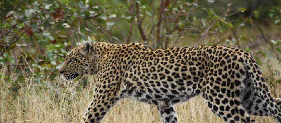 South Africa Cycling Adventure - World Expeditions - South Africa