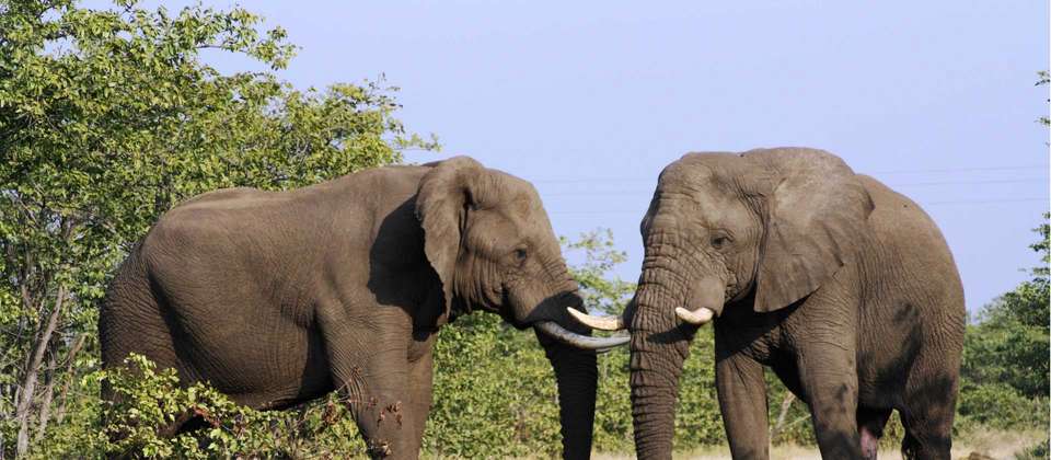 South Africa Cycling Adventure - World Expeditions - South Africa - Image 7