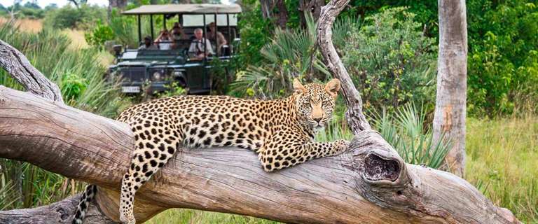 South Africa Discovery - 12 days