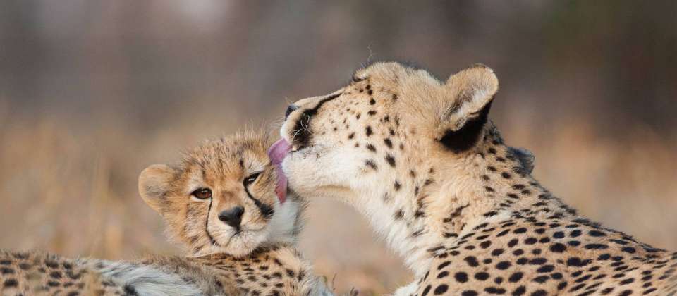 South Africa Encompassed - World Expeditions - South Africa