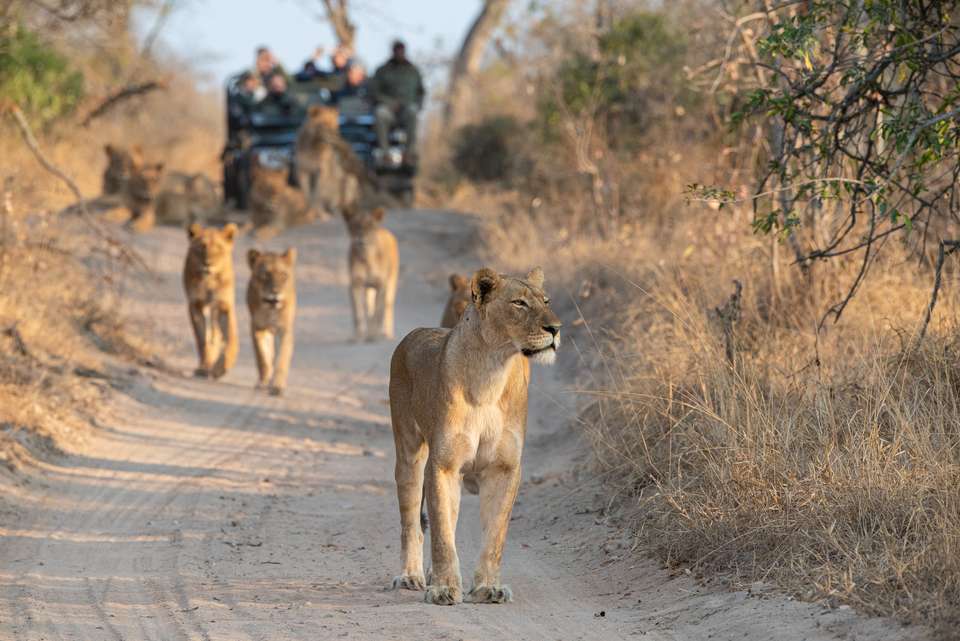 South Africa Escape - Expat Explore - South Africa - Image 3