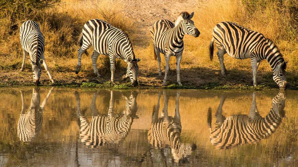 Iconic South Africa - Collette Tours - South Africa - Image 2