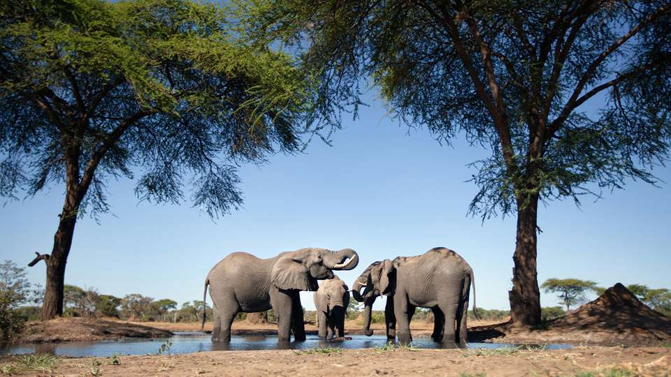 Iconic South Africa - Collette Tours - South Africa - Image 4