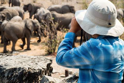 South Africa Family Safari With Teenagers - 12 Days