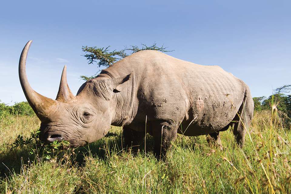 South Africa Family Safari with Teenagers - Intrepid Travel - South Africa - Image 9