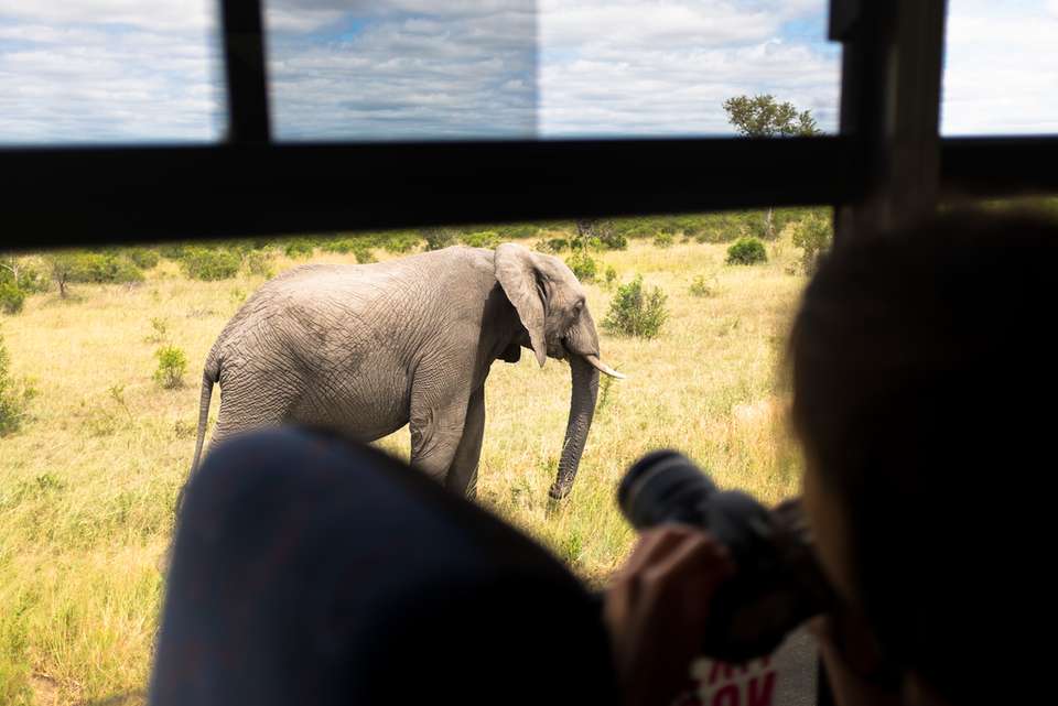 South Africa Family Safari with Teenagers - Intrepid Travel - South Africa - Image 11
