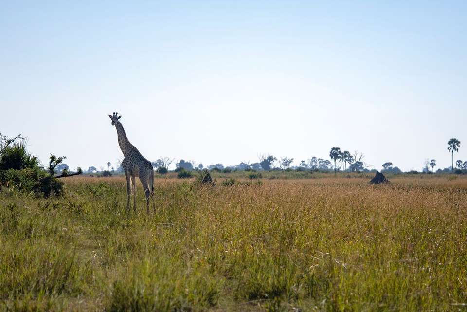 South Africa Family Safari with Teenagers - Intrepid Travel - South Africa - Image 16