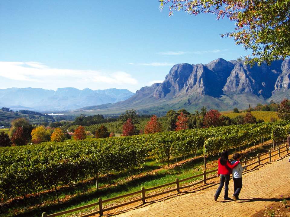 South Africa Grand Tour - 14 days - On The Go Tours - South Africa - Image 9