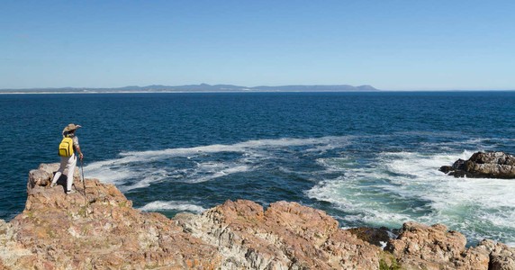 Image 4 of 12