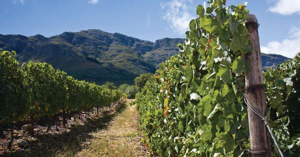 South Africa Highlights - Explore - South Africa - Image 11