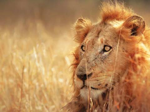 Active And Outdoor Tour: South Africa Highlights