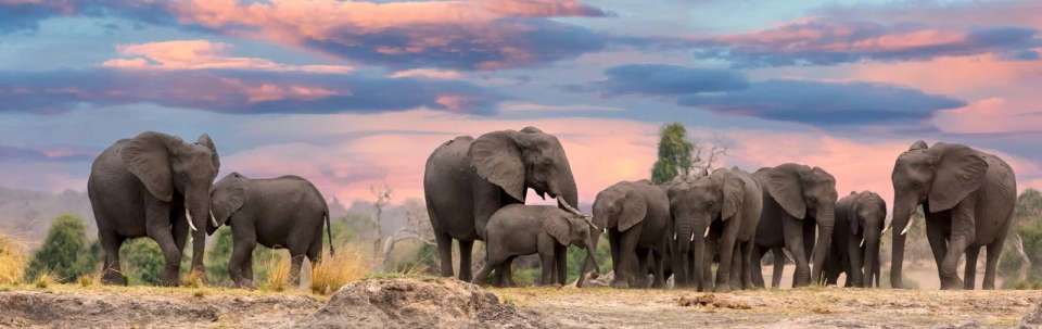 South Africa Highlights - undefined - Image 3