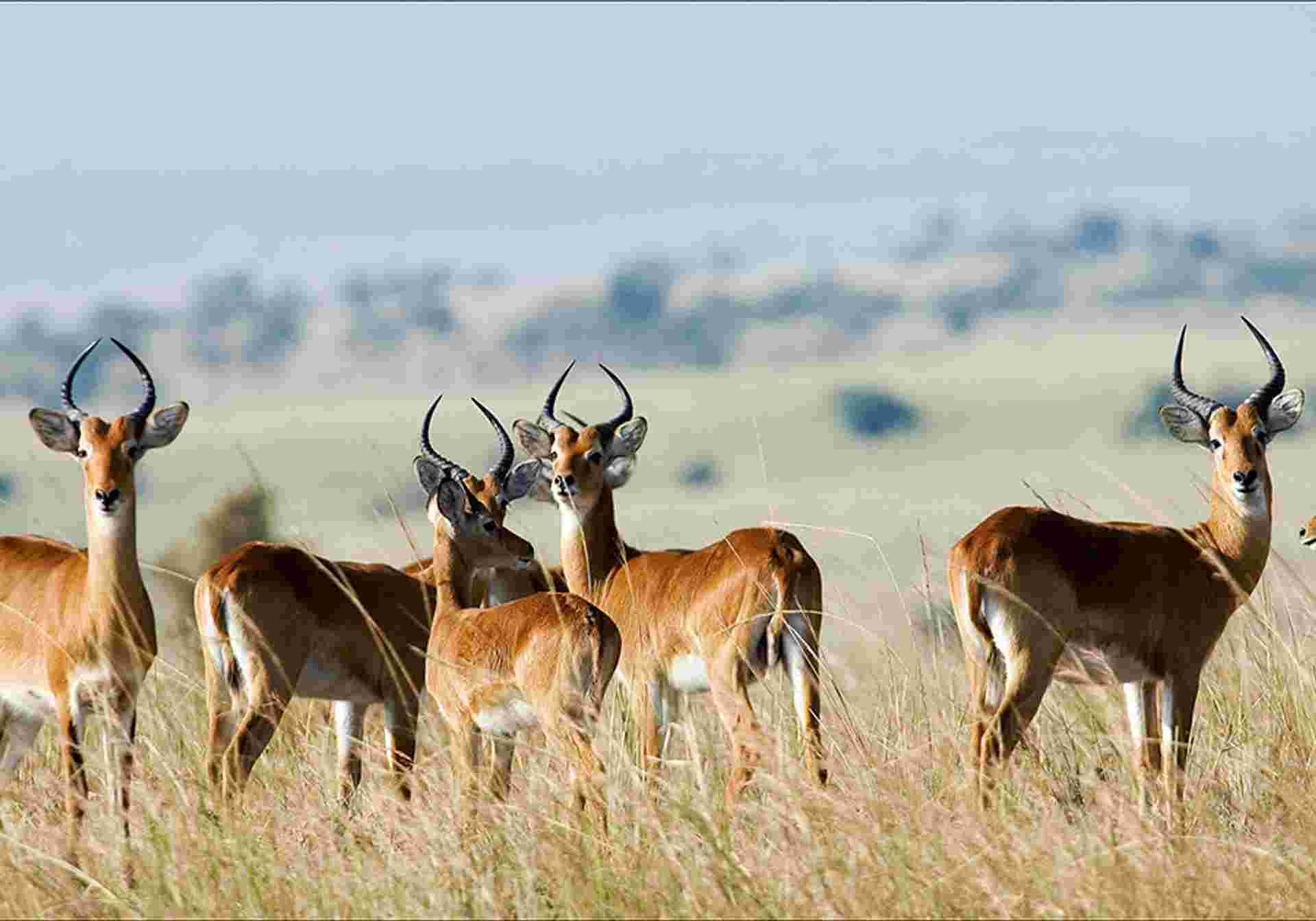 South Africa In Depth