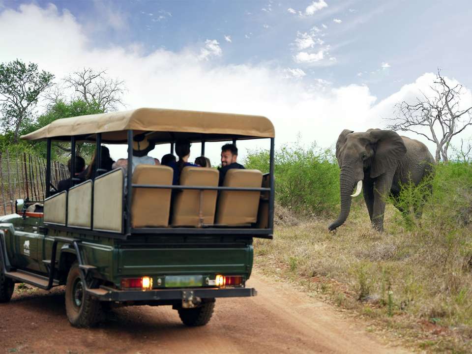 South Africa Joburg, Kruger & Cape - 10 days - On The Go Tours - South Africa - Image 4