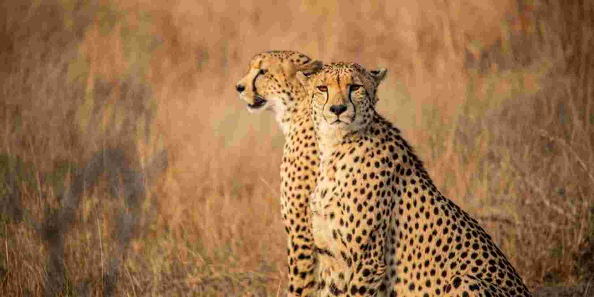 South Africa: Kruger, Cape Town & Stellenbosch Vineyards