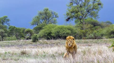 South Africa On A Shoestring