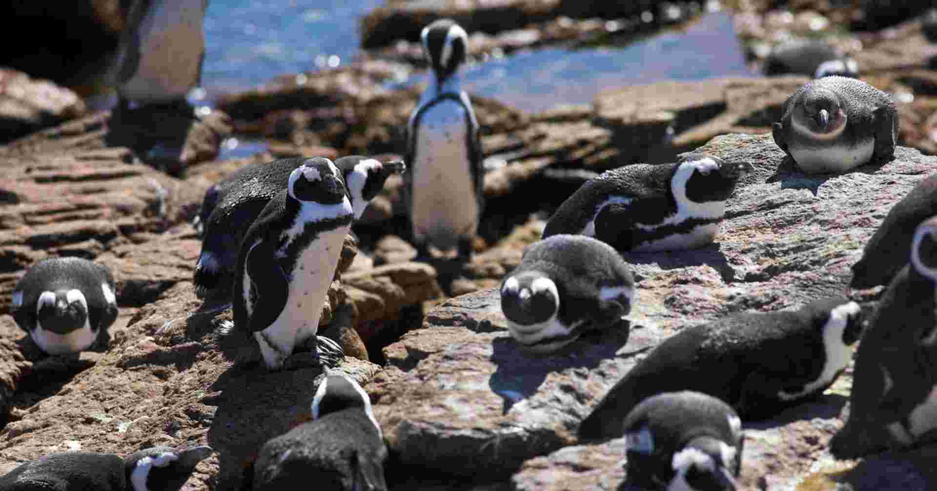 South Africa's Garden Route