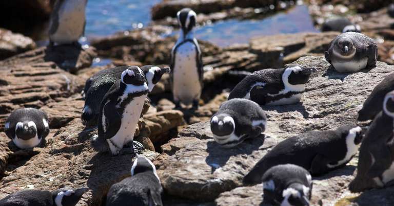 South Africa's Garden Route
