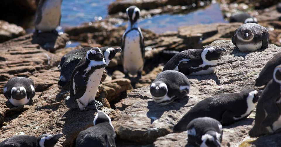 South Africa's Garden Route - Explore - South Africa