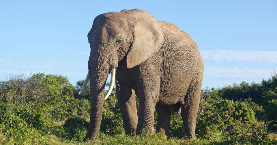 South Africa's Garden Route - Explore - South Africa