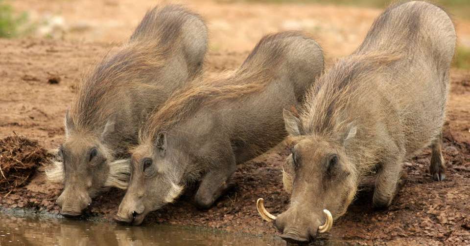 South Africa's Garden Route - Explore - South Africa