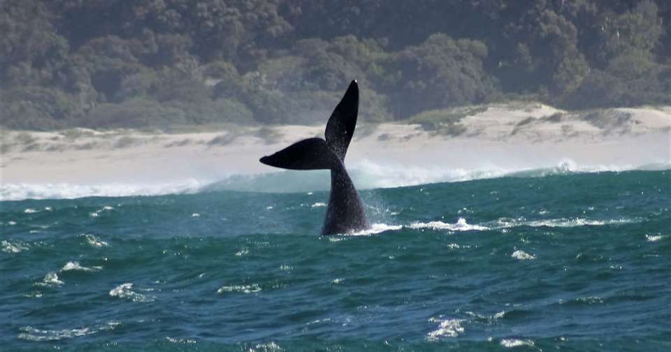 South Africa's Garden Route - Explore - South Africa