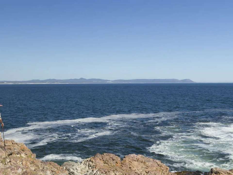 Image 8 of 14