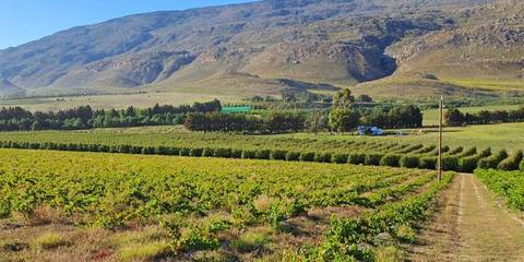 South Africa: The Garden Route - September 2027