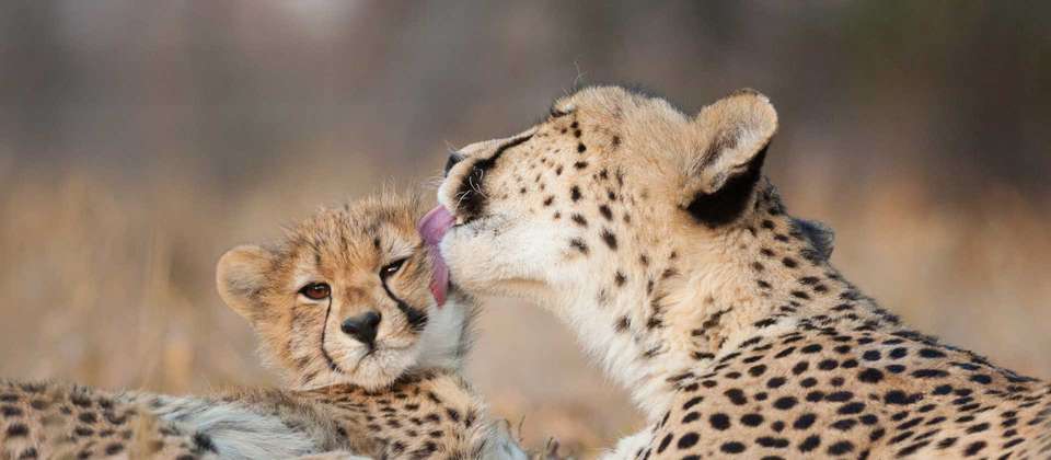 South Africa Walking Adventure - World Expeditions - South Africa - Image 4