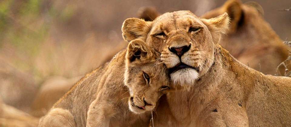 South Africa Walking Adventure - World Expeditions - South Africa - Image 5