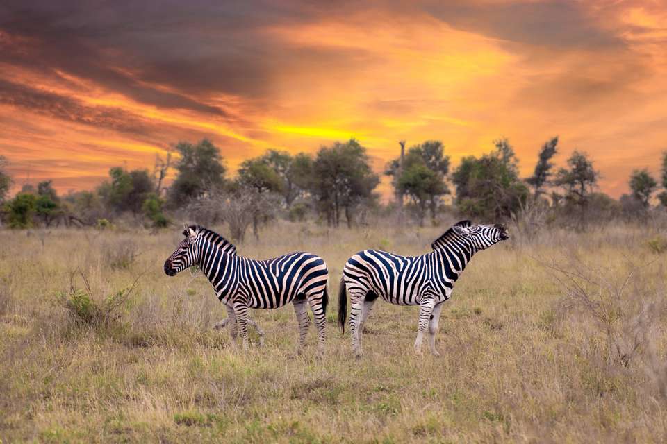 South Africa: Walking & Wildlife - Exodus Adventure Travels - South Africa - Image 18