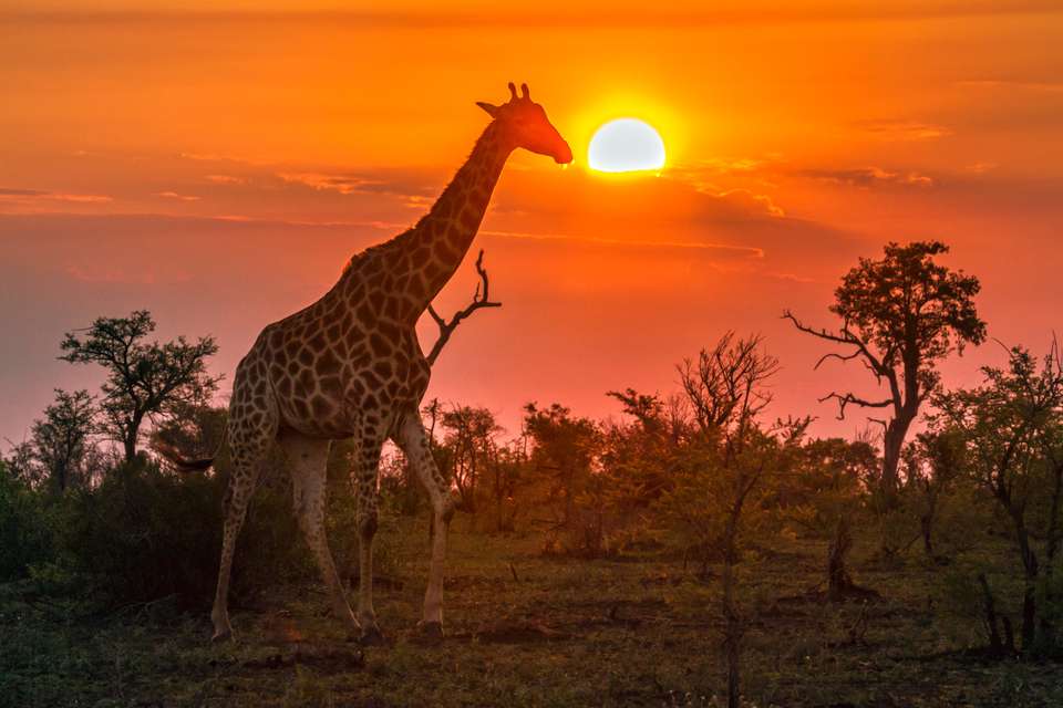 South Africa: Walking & Wildlife - Exodus Adventure Travels - South Africa - Image 16