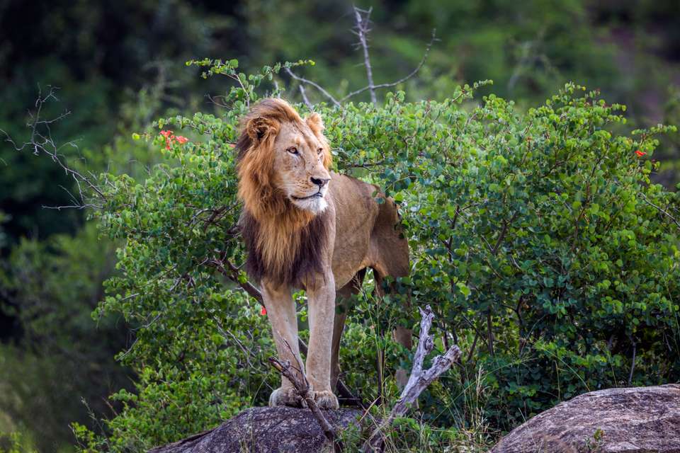 South Africa: Walking & Wildlife - Exodus Adventure Travels - South Africa - Image 15