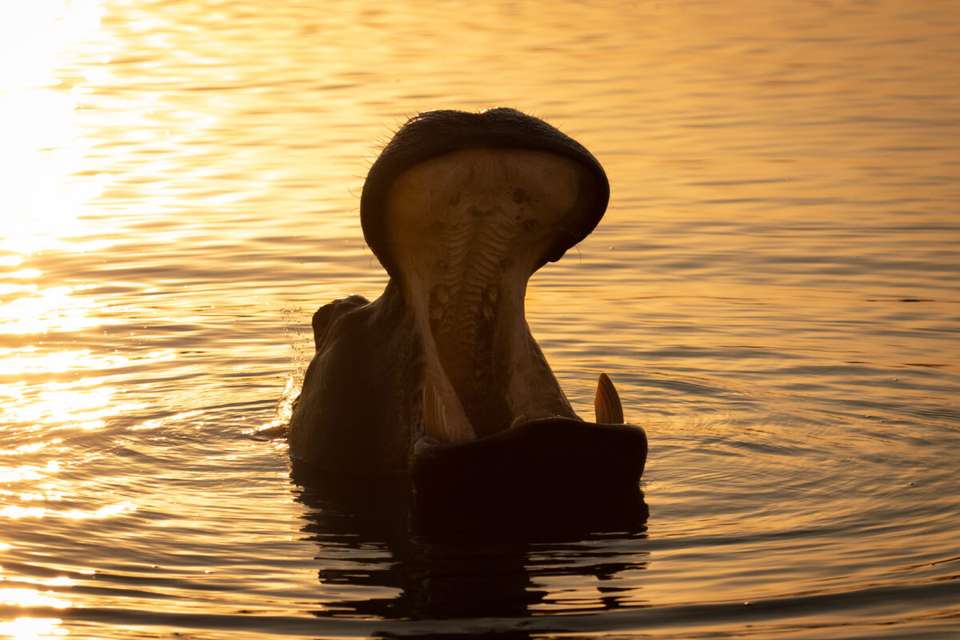 South Africa: Walking & Wildlife - Exodus Adventure Travels - South Africa - Image 2