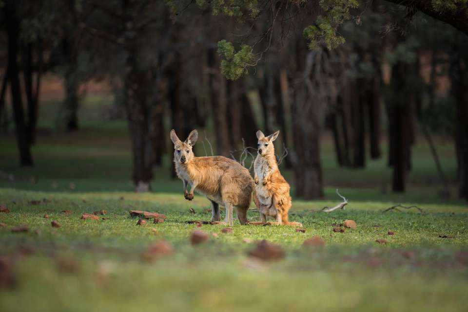 South Australia Outback Adventure - Intrepid Travel - Australia - Image 8