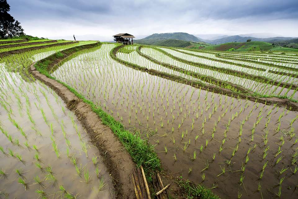 South East Asia Loop - Intrepid Travel - Thailand - Image 13