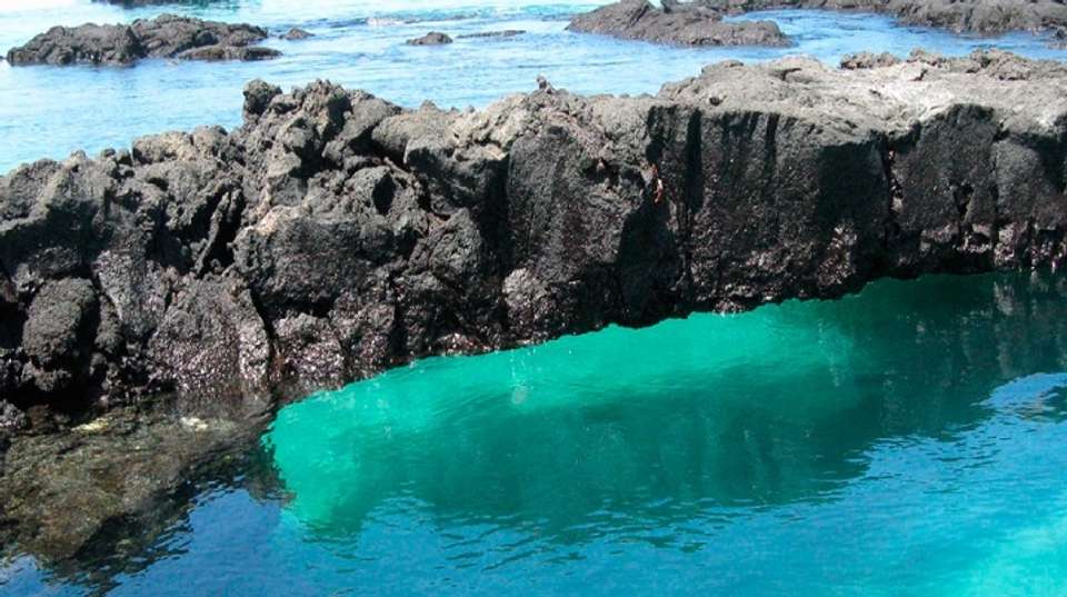 South Galapagos Island Hopping - undefined - Image 3