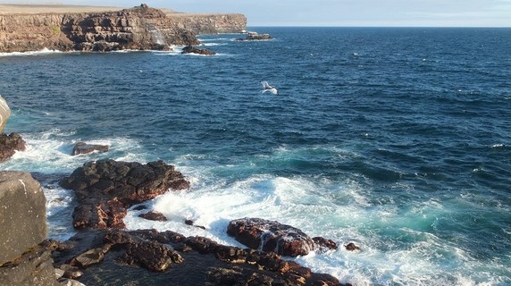 Image 5 of 6