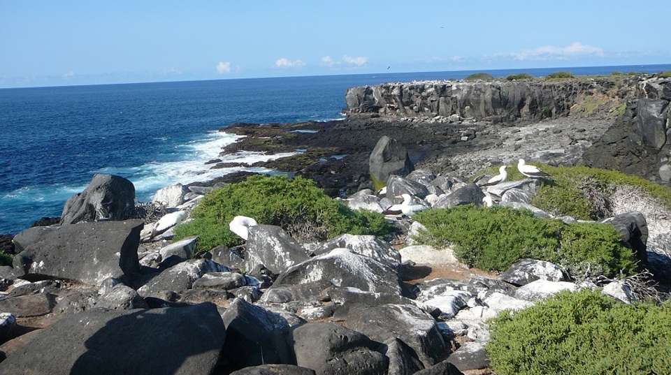 South Galapagos Island Hopping - undefined - Image 6
